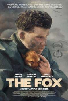 دانلود زیرنویس فارسی the fox