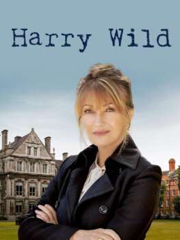 دانلود زیرنویس فارسی harry wild