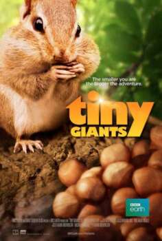 دانلود زیرنویس فارسی tiny giants 3d