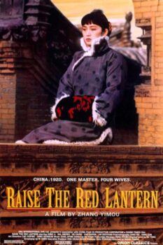 دانلود زیرنویس فارسی raise the red lantern