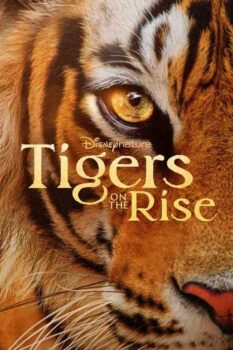 دانلود زیرنویس فارسی tigers on the rise