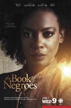 دانلود زیرنویس فارسی the book of negroes