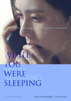 دانلود زیرنویس فارسی while you were sleeping