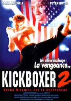 دانلود زیرنویس فارسی kickboxer 2: the road back