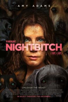 دانلود زیرنویس فارسی nightbitch