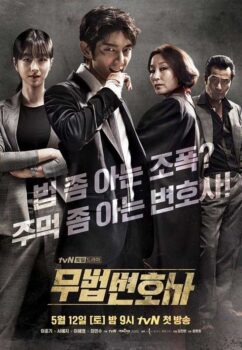 دانلود زیرنویس فارسی lawless lawyer