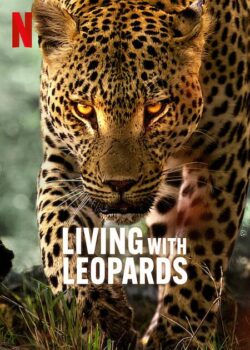 دانلود زیرنویس فارسی living with leopards